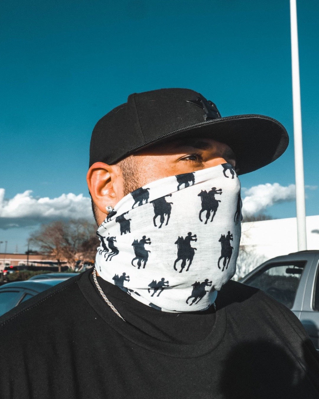 Po up pullover mask