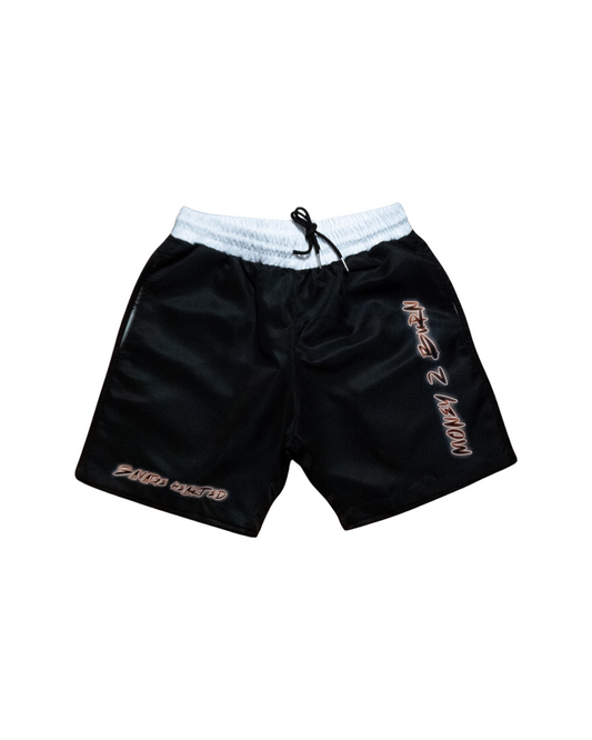 Money 2 burn shorts