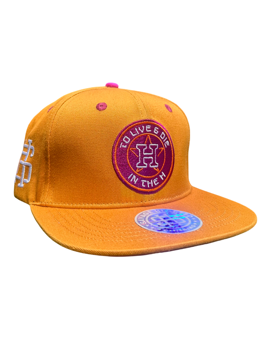 2L&DITH penut butter & jelly Snapback hat