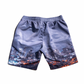 Houston gray nights Shorts